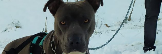 aimaracolinecul's profile banner image
