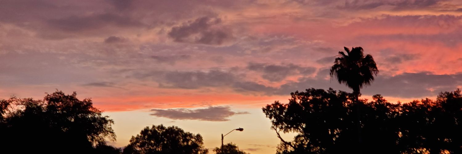 bluerose243's profile banner image