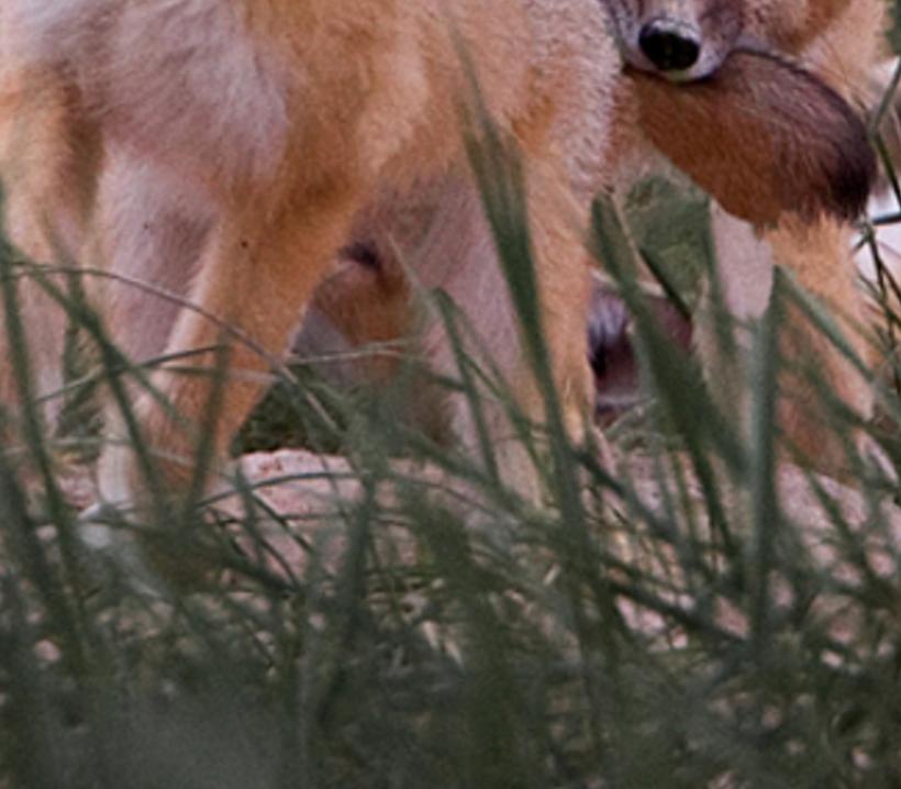 houdirss's profile banner image
