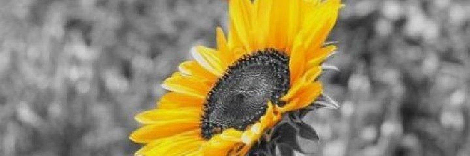 LedilePriscie's profile banner image