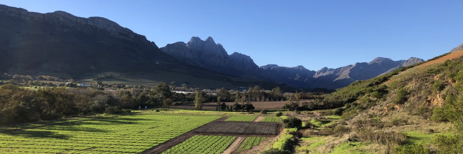 Brandon Paschal banner