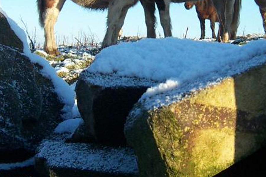senivapti's profile banner image
