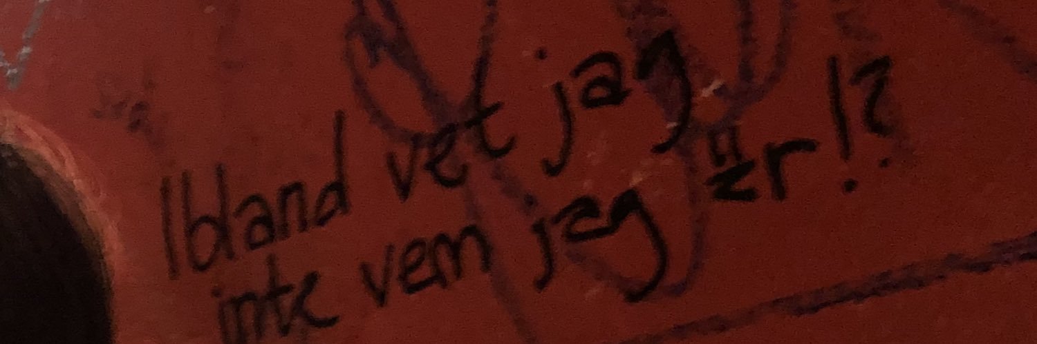 nylvid's profile banner image