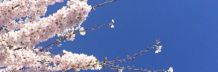 ruthmodel's profile banner image