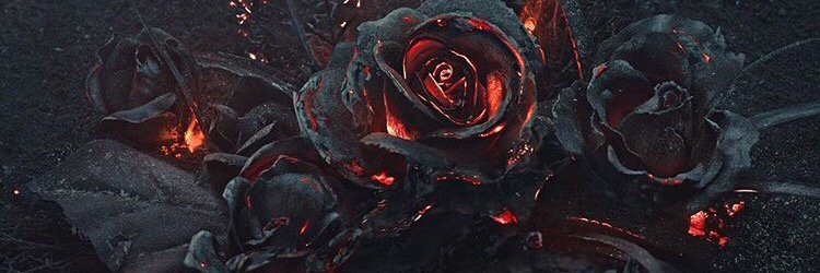 Nicole_Carter_'s profile banner image