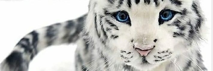 ___3434__'s profile banner image