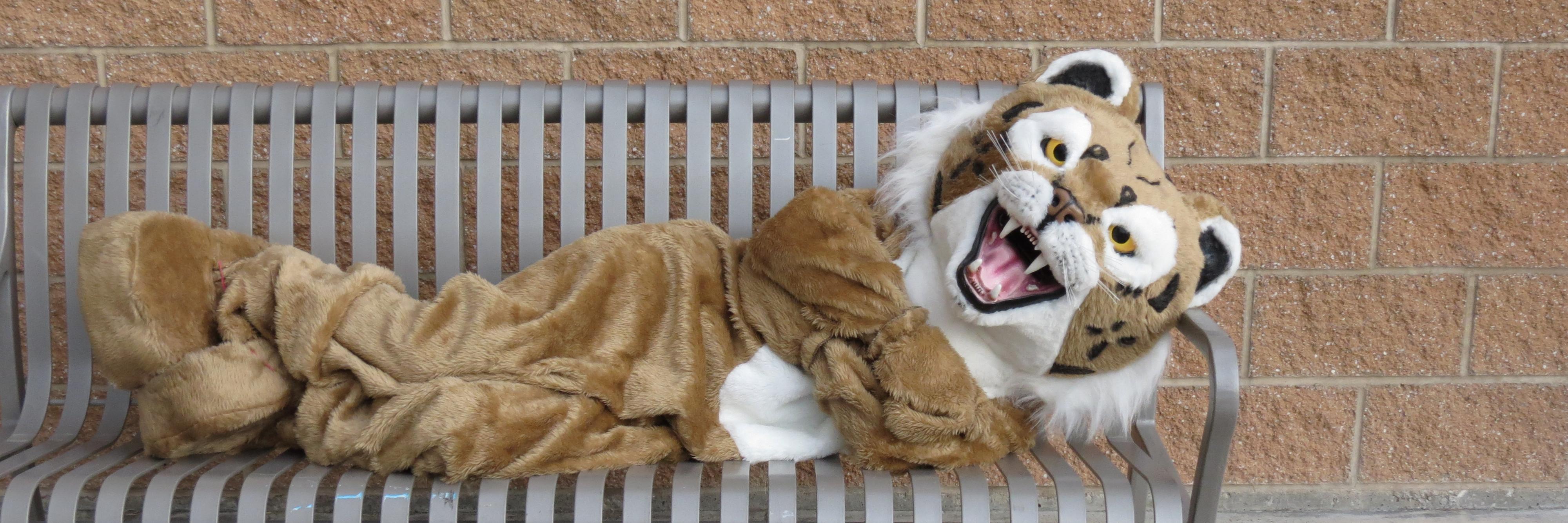 SouthBobcats's profile banner image