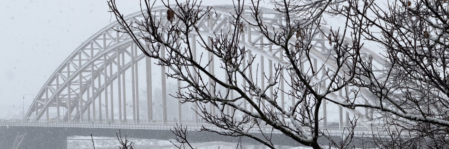 Inge Kersten 🏳️‍🌈🍉 banner