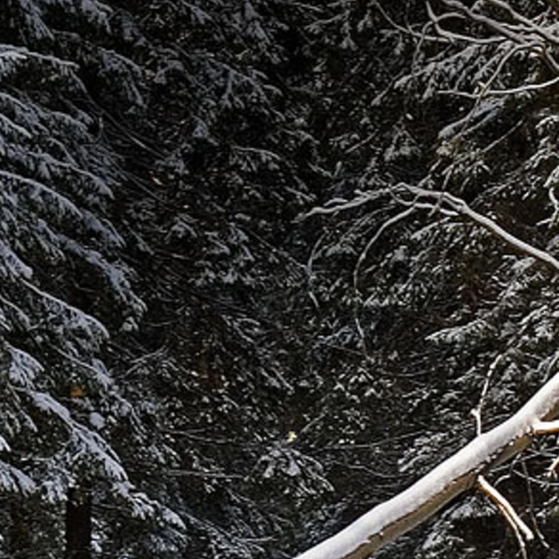 ruponsim's profile banner image