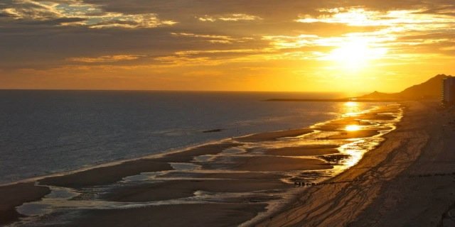 wilsonbella's profile banner image