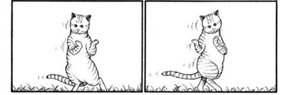 tokped: sabaody book shop banner