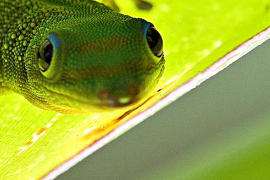 edenhme's profile banner image