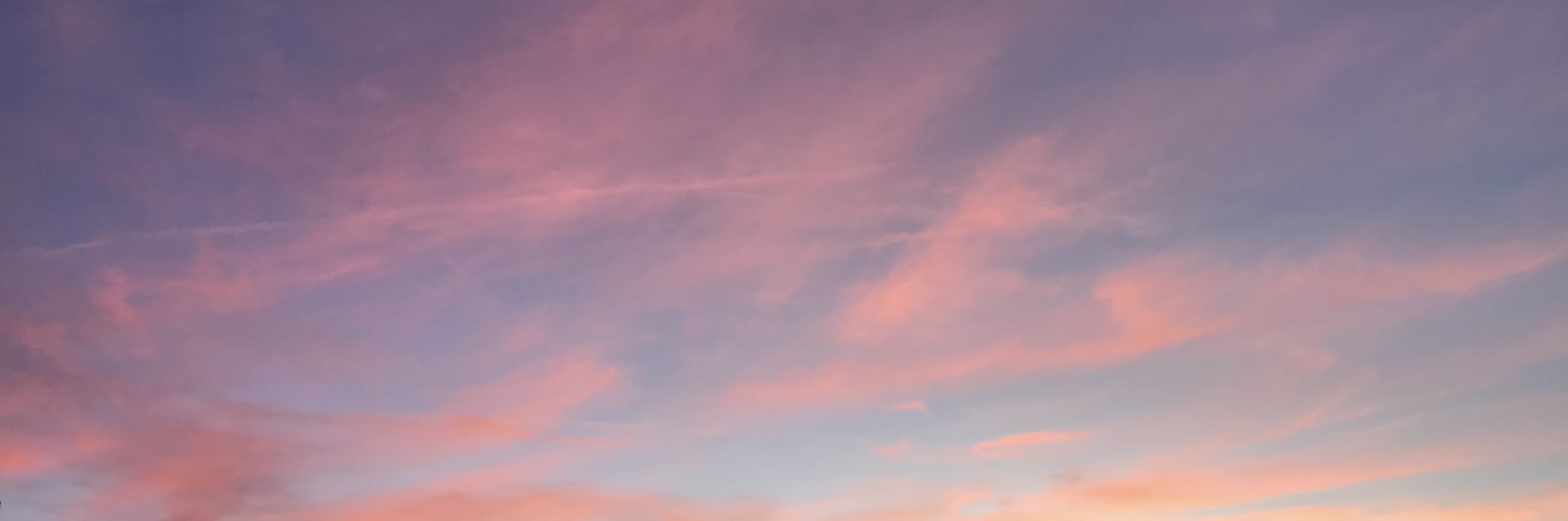 mollyhunt5's profile banner image
