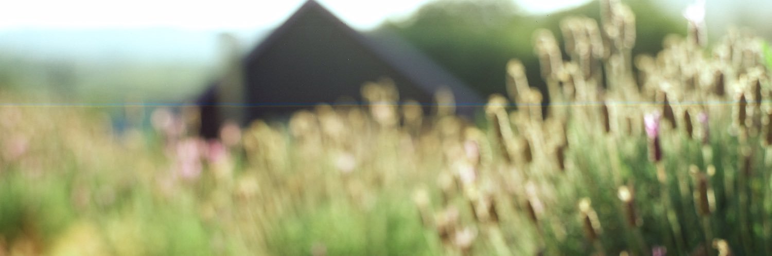 ashleyariane's profile banner image