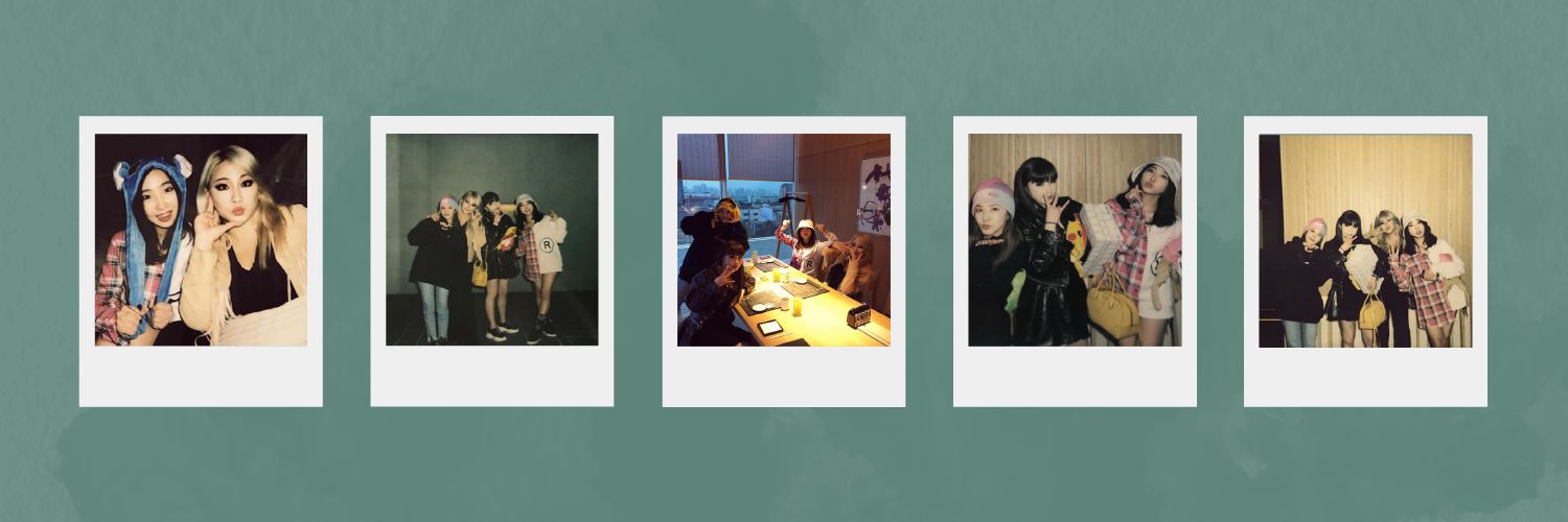 2NE1TURKEYFAM's profile banner image