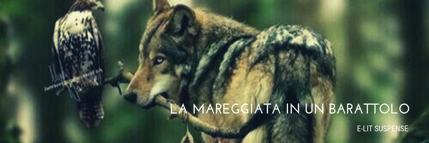 Chiara M.  banner