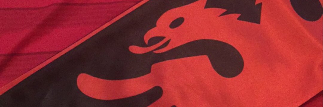 HamatiLedio's profile banner image