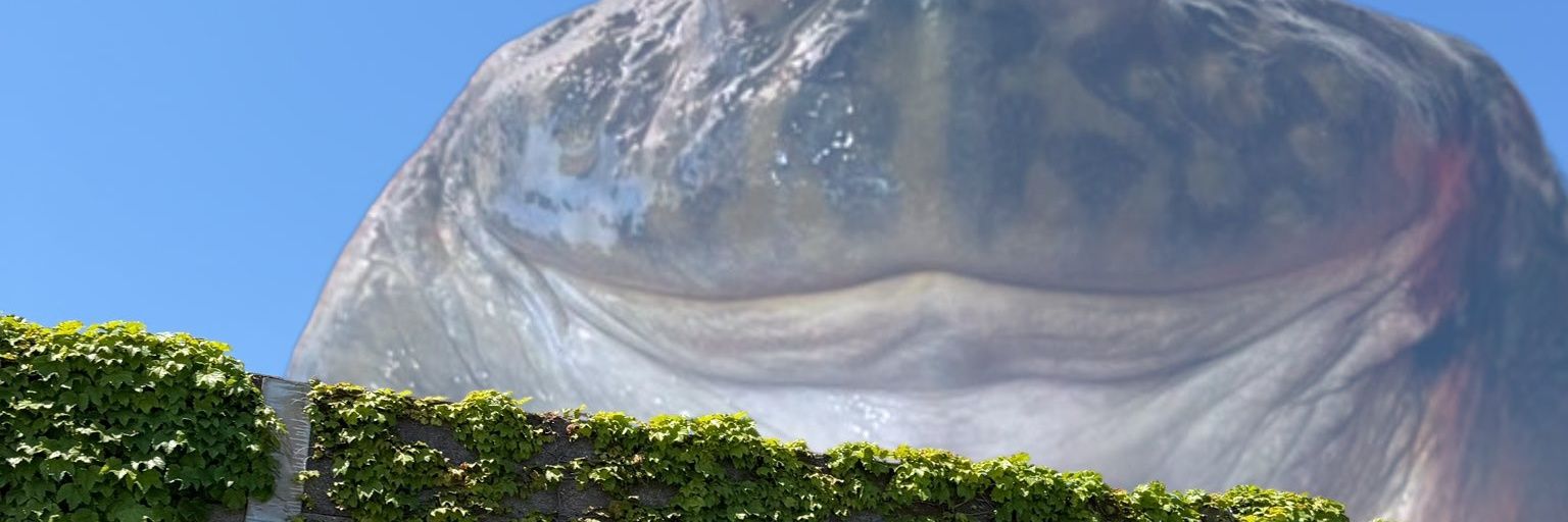 Brettbat's profile banner image
