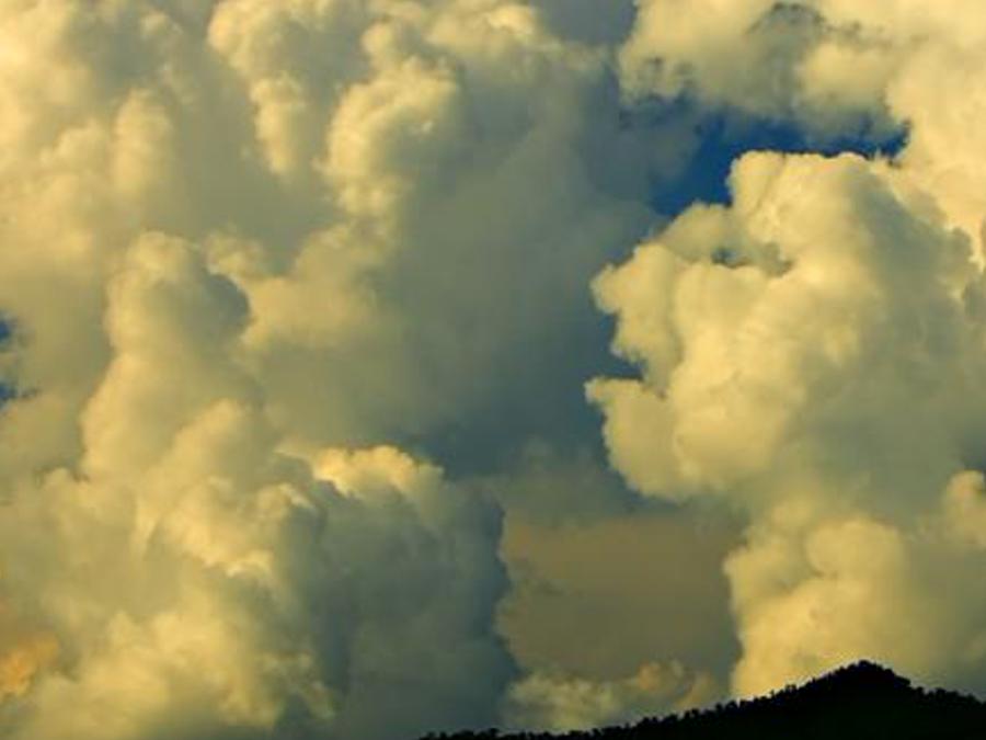 llalsutl's profile banner image