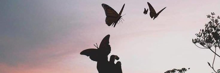 vemoscomosomos's profile banner image