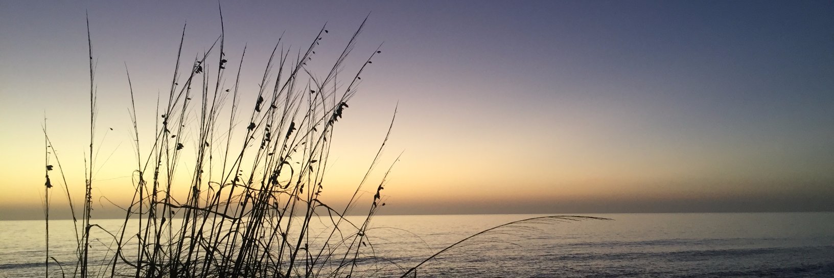 BarbNicholson1's profile banner image