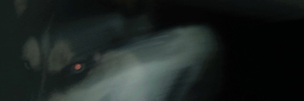 Aaalans's profile banner image