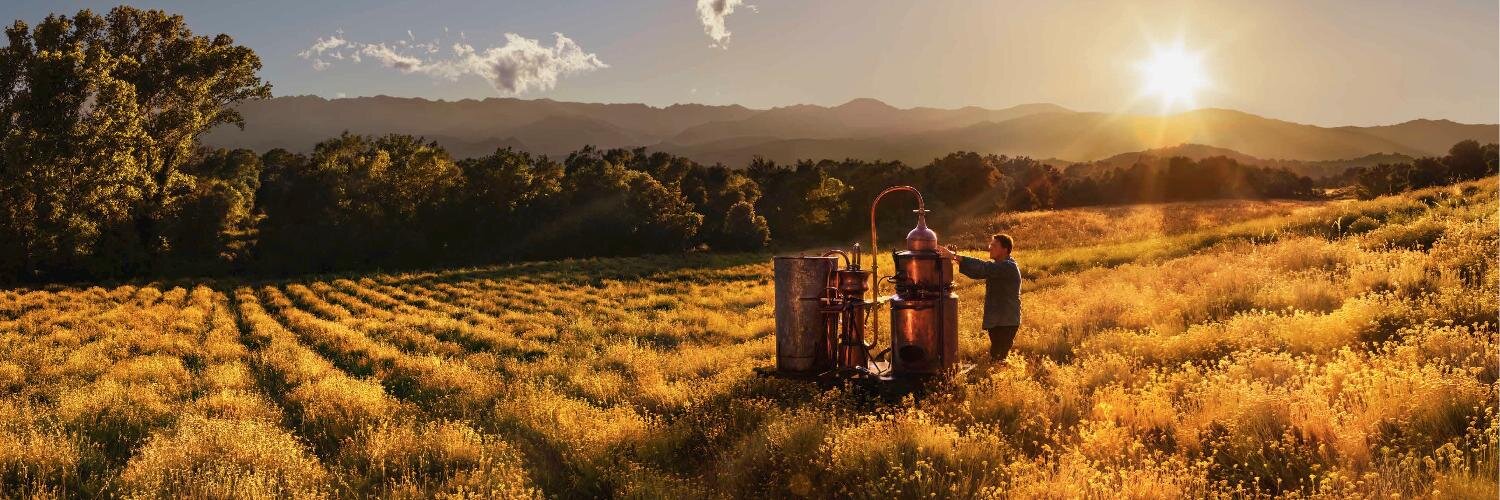 loccitane_chile's profile banner image