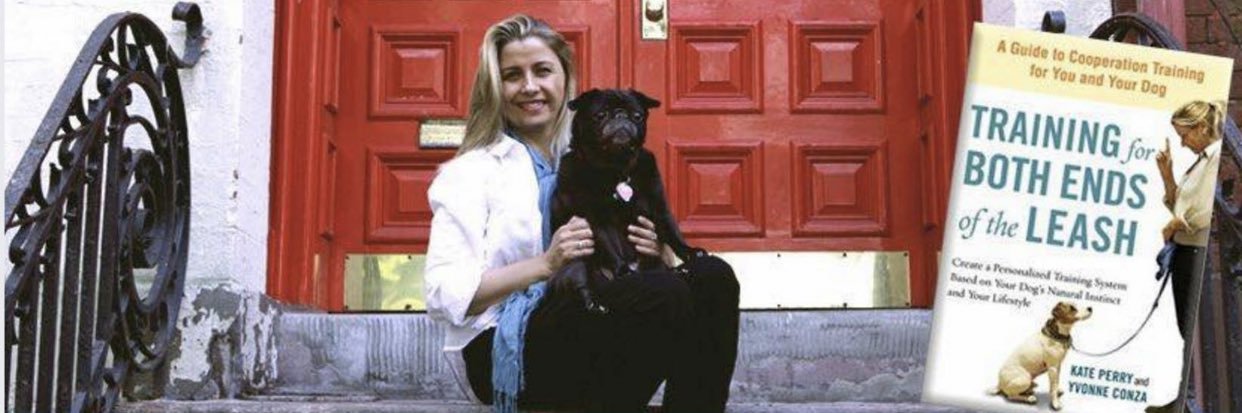 KatePerryDogs's profile banner image