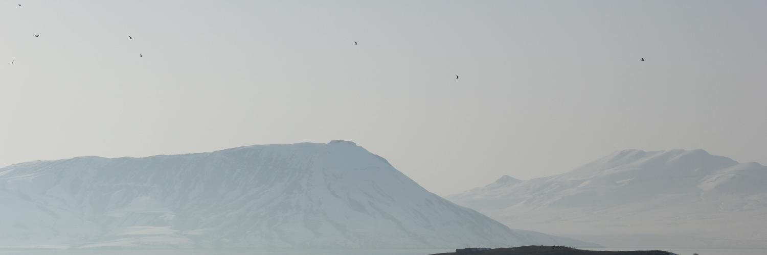 3ebaran's profile banner image