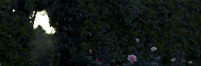 mayybecrazyy's profile banner image
