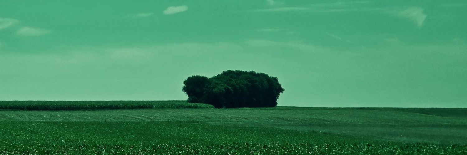st3v8n's profile banner image