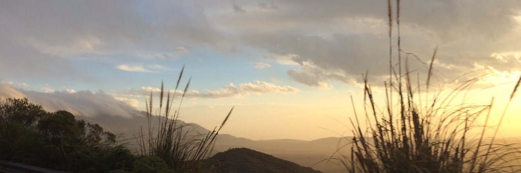 tamaranair's profile banner image