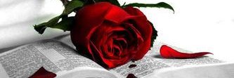RamblingsofPoe's profile banner image