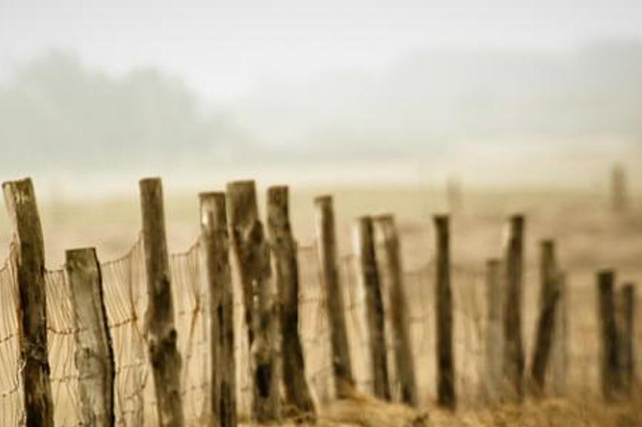 physstoc's profile banner image