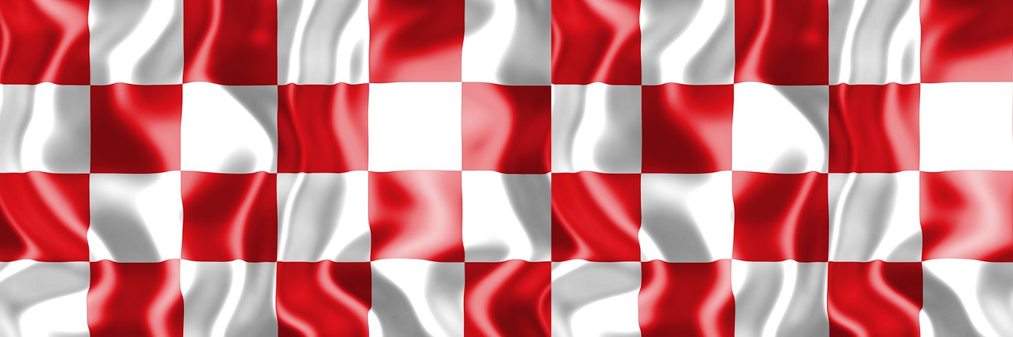 Ron Michielsen banner