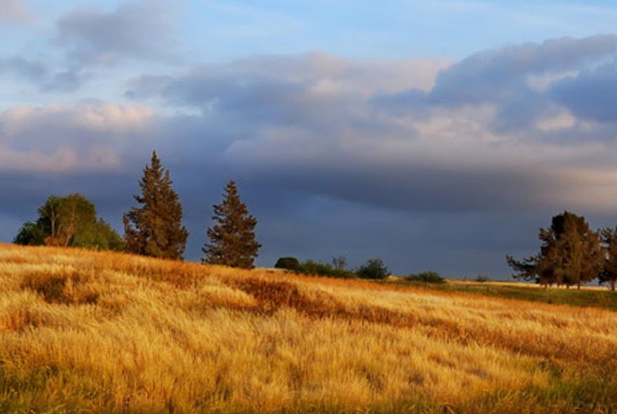 oiopych's profile banner image