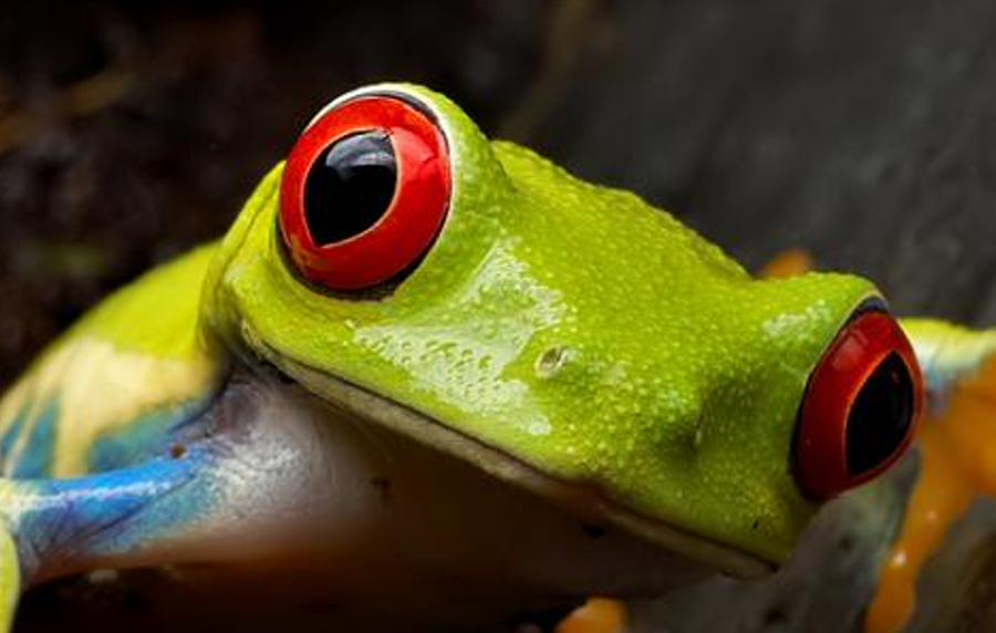 rblicen's profile banner image