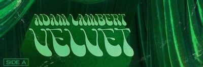 luna🌶💃,Here for Adam Lambert 💚💚💚 banner