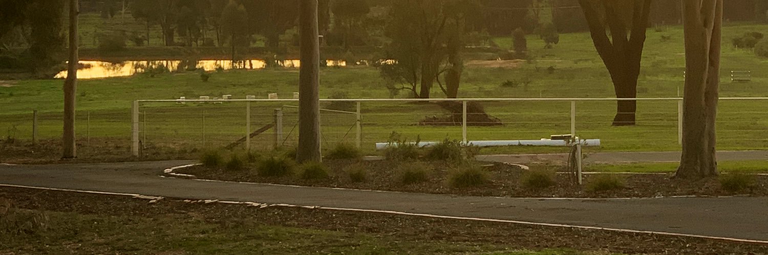 waynelappin's profile banner image