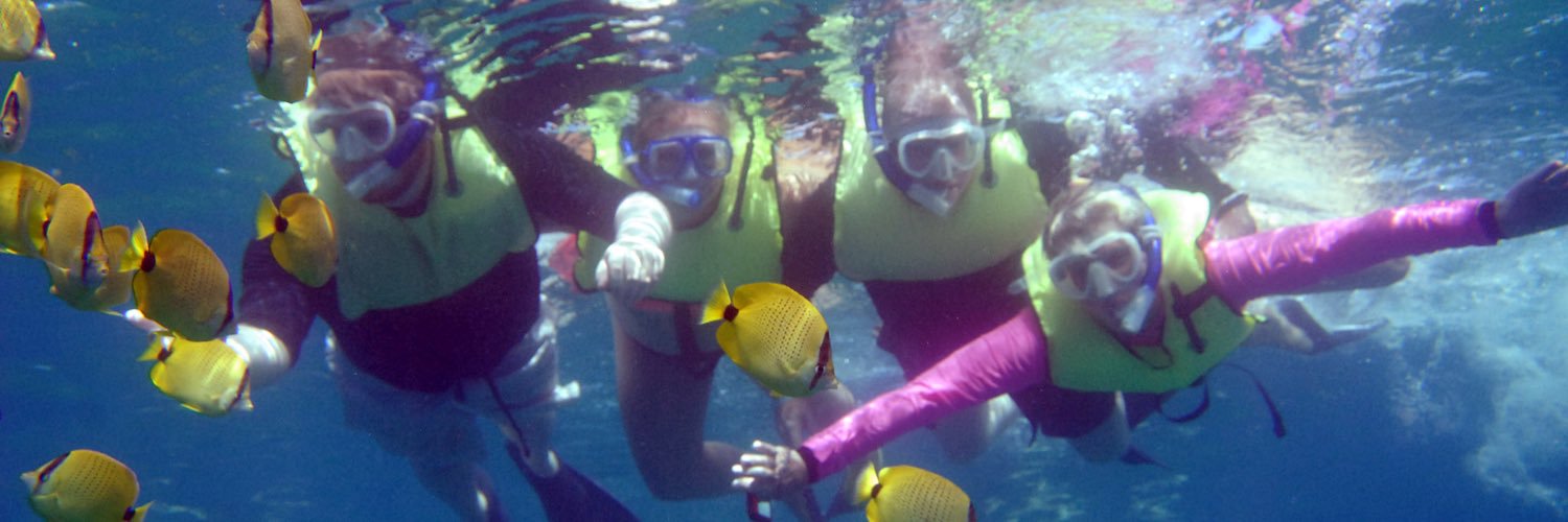 Melissa Oakley banner