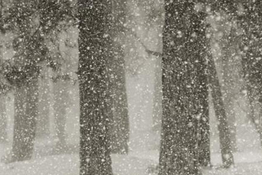 titherhoco's profile banner image