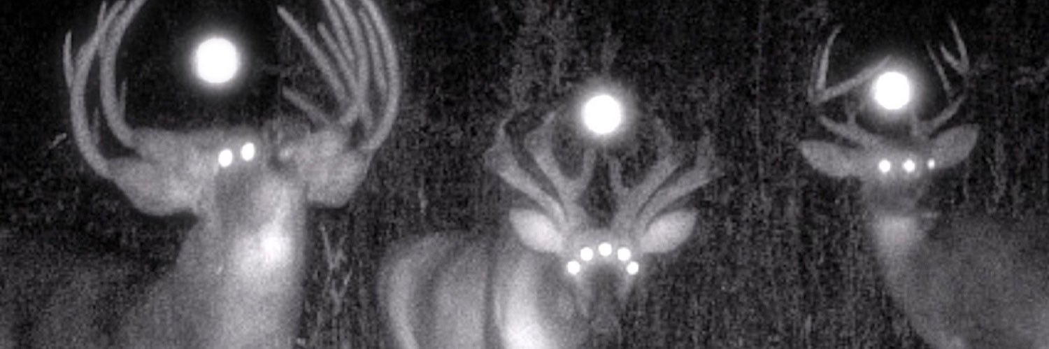 dr_wormm's profile banner image