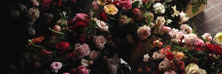 baileysarver's profile banner image