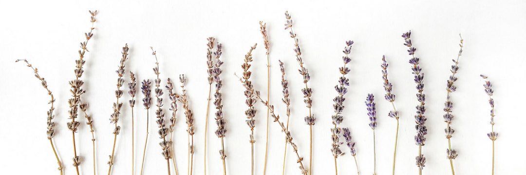 michelleashleyh's profile banner image