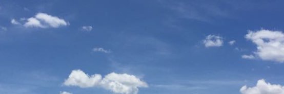 janecuchillo_'s profile banner image