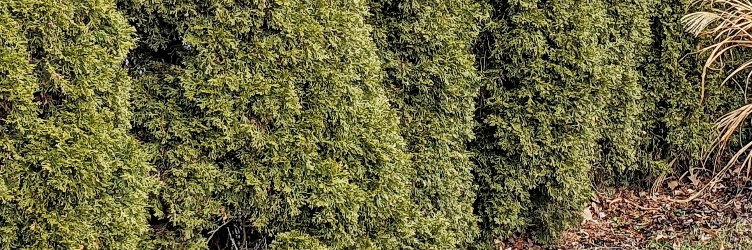 WRMarmiton's profile banner image