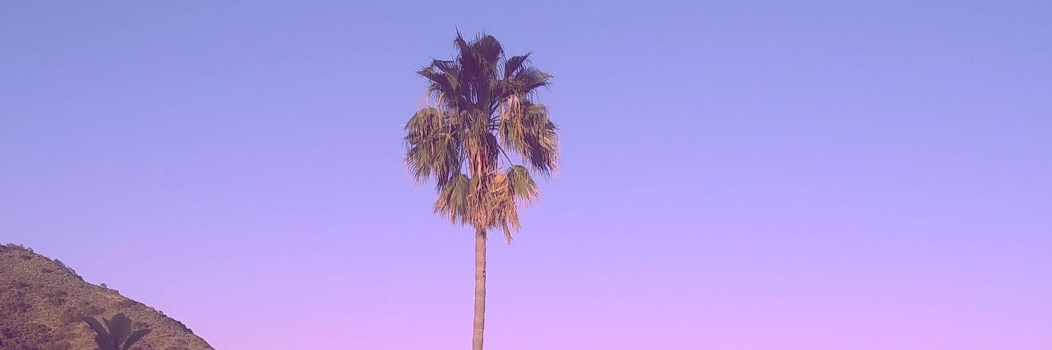 Maddigirlzz's profile banner image
