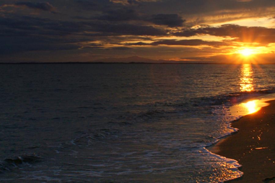 ishoras's profile banner image