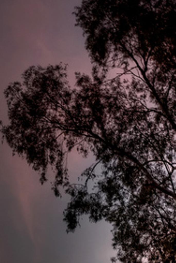 ieabed's profile banner image