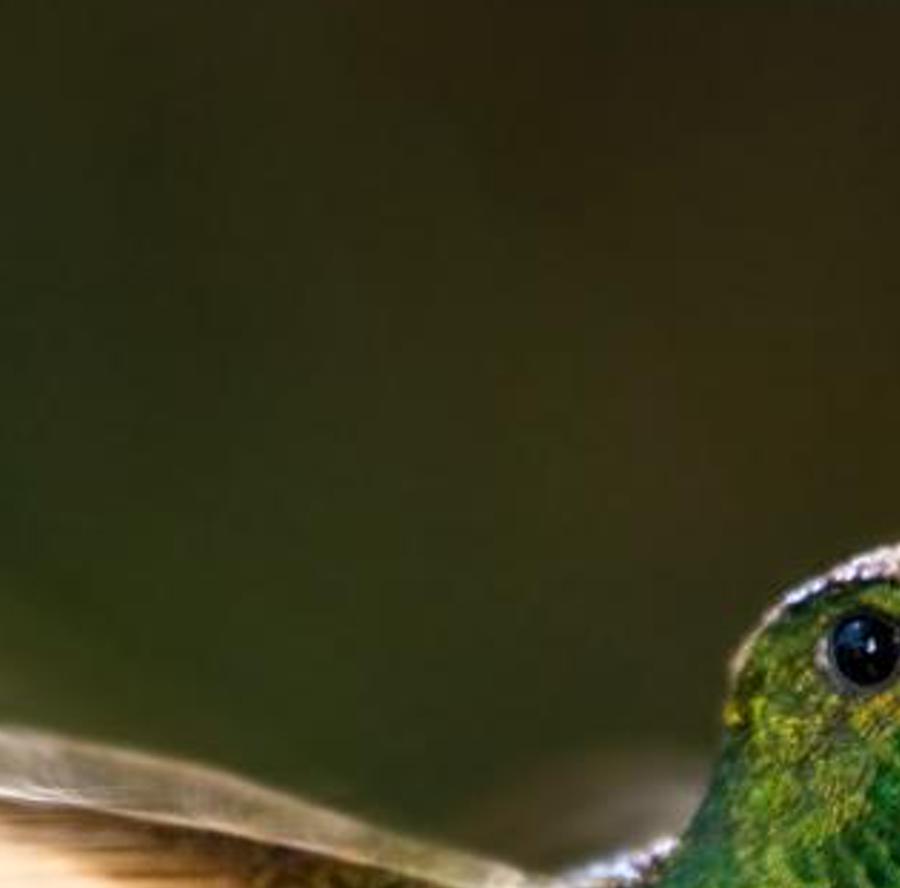 kssicam's profile banner image